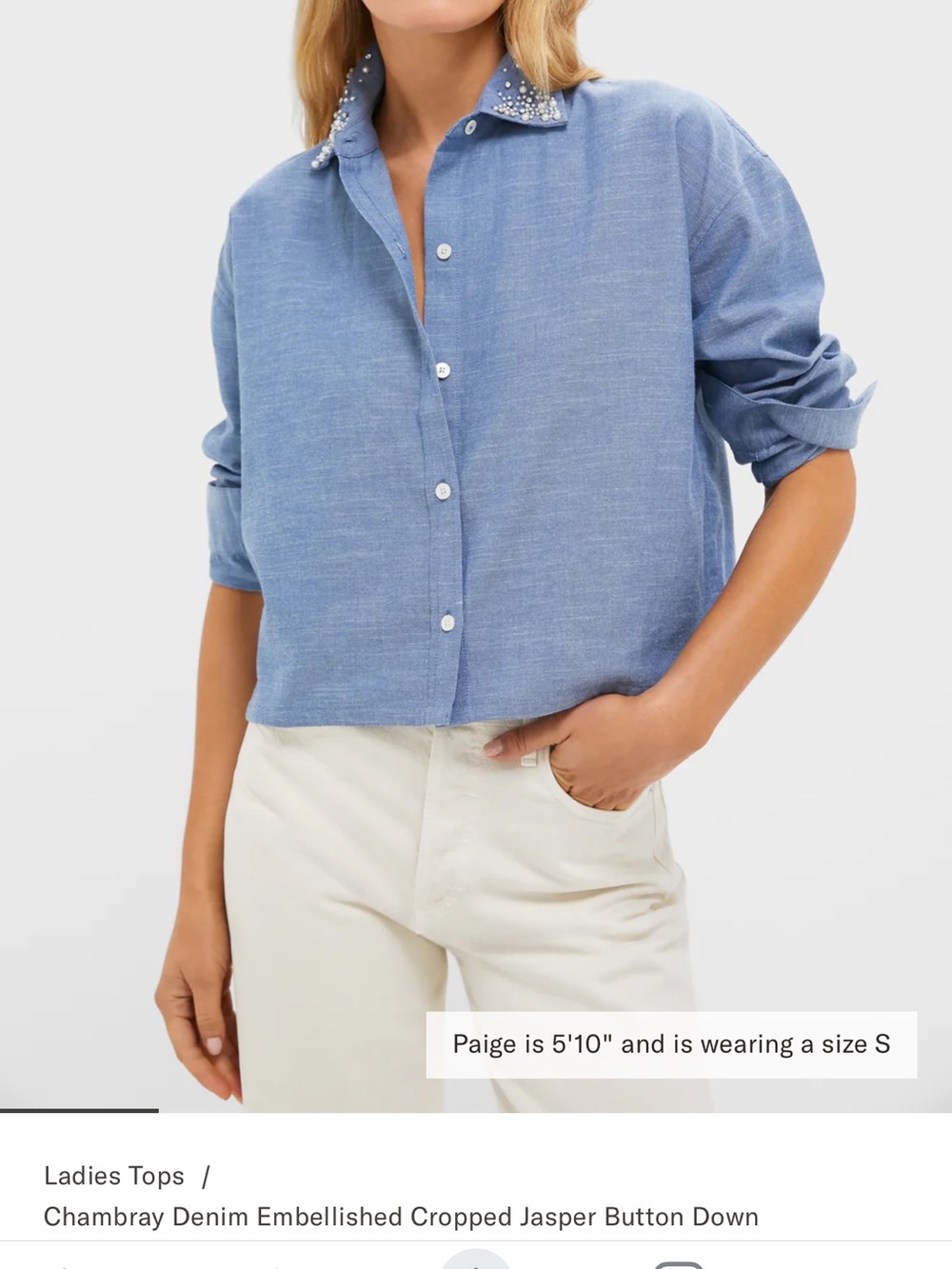 TUCKERNUCK Chambray Embellished Button Down